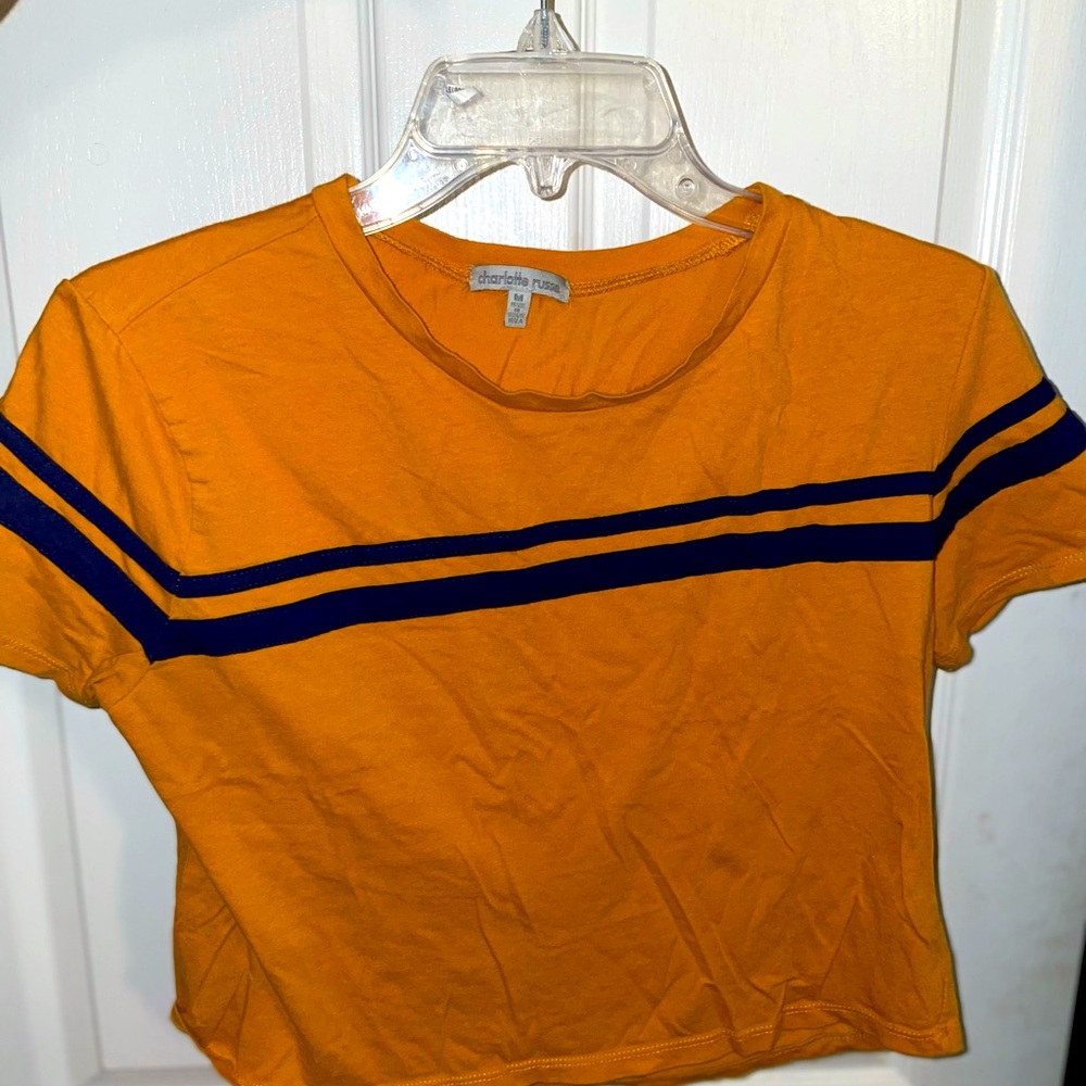 Striped Crop Top